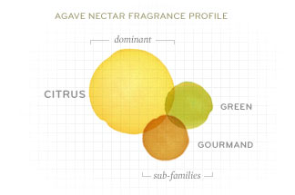 Agave-Nectar-Fragrance-Profile-v2.jpg