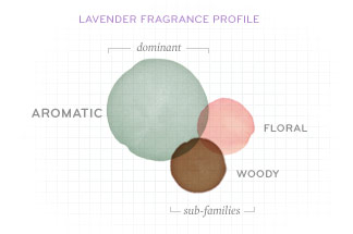 Lavender-Fragrance-Profile-v2.jpg
