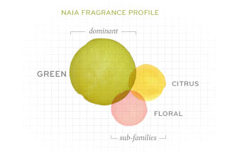 Naia-Fragrance-Profile-v2.jpg