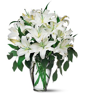 white-lily