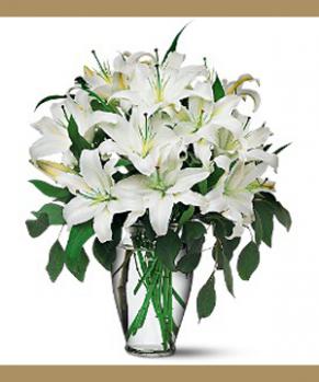 white-lily2