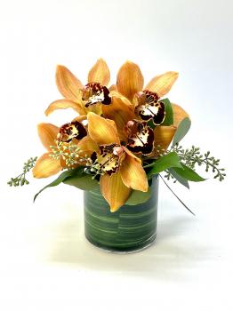 Fall_Orchids