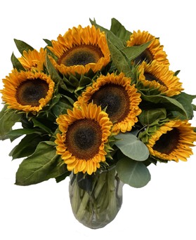 simply-sunflowers
