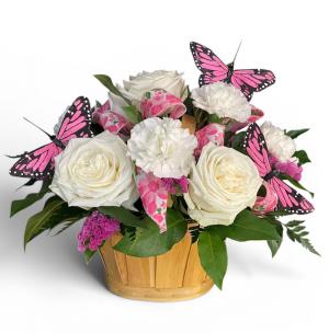 Butterfly_basket