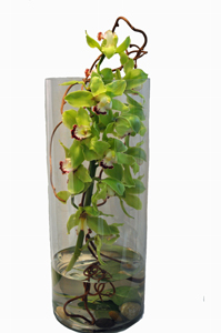 Contemporary_Cymbidium_Cylinder.jpg