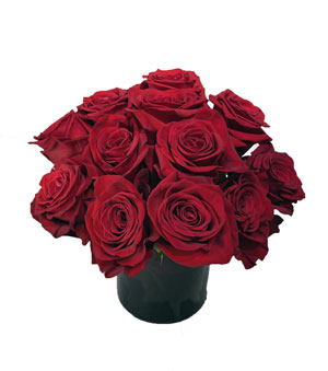 roses-arranged-compact-12we