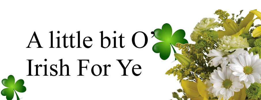 patricks_banner_sm.jpg